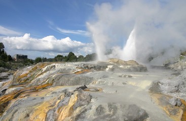 Geyser Valley Rotorua, New Zealand