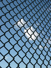 Naklejka premium Zaun