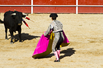Matador et taureau en corrida. Madrid, Espagne.
