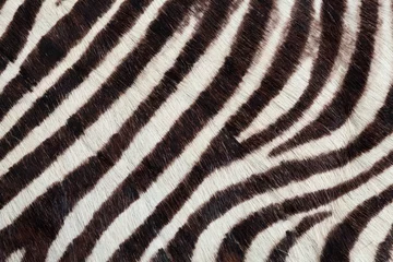 Rolgordijnen leer met zebraprint © QUALIA studio