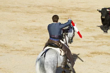 Photo sur Plexiglas Tauromachie Corrida à cheval. Corrida espagnole typique.