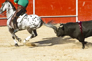 Cercles muraux Tauromachie Corrida à cheval. Corrida espagnole typique.