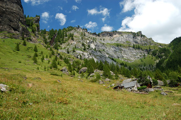Fototapeta na wymiar Alpine Village landscape in summer