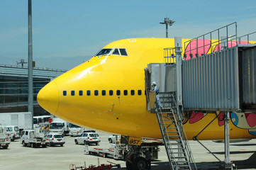 Obraz premium airplane-3