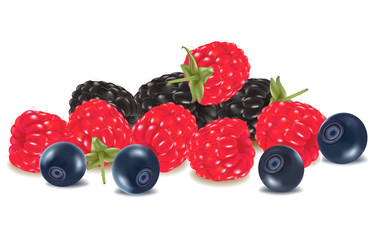 Photo-realistic vector illustration. Group of berries.