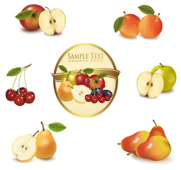 Gold label with different sorts of fruit. Vector.