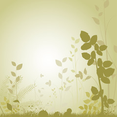 nature background