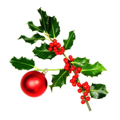 Sprig of Christmas Holly over white