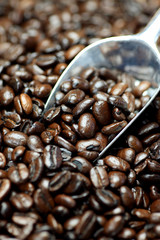 coffee beans