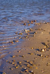 Rivage méditerranéen