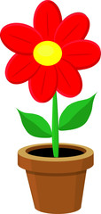 Flower in the pot