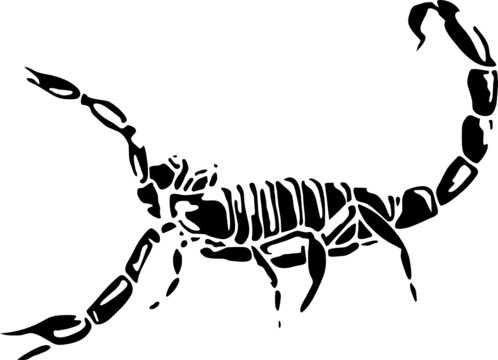 scorpion vector