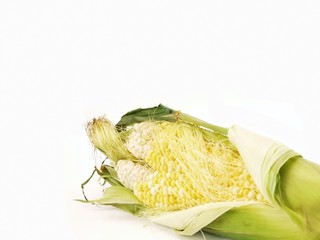 Corn on the Cob