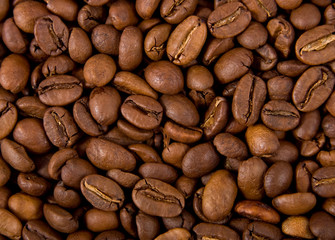 Naklejka premium coffee beans