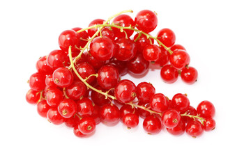 Red currant