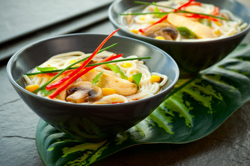 Chicken noodle soup