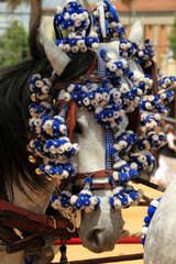 Caballo, Feria de Jerez