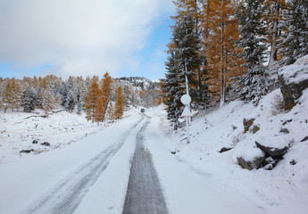 Altai road under snow