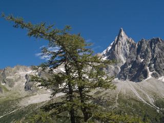 Chamonix, Monte Bianco