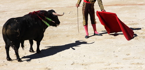 corrida