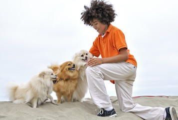 Boy on the beach petting dogs