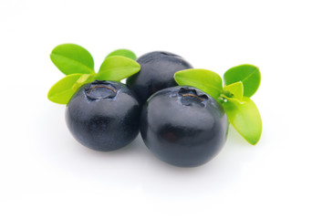 Blueberry