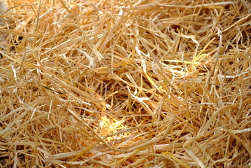 Background of Hay