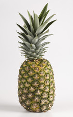 Obraz premium Single Pineapple