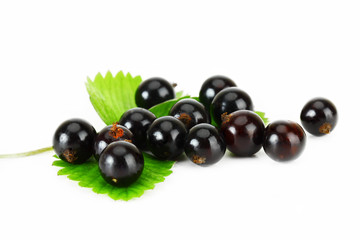 Чёрная смородина