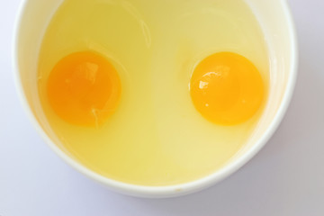 egg