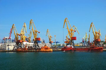 Port warehouse with cargoes and containers