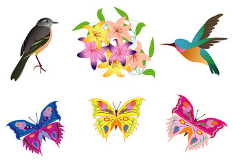 vector birds, butterfly and flowers