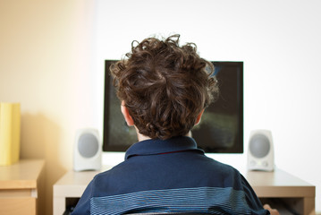 Boy using computer at home