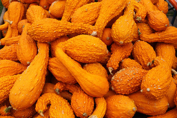 Verdrehter Hals-Yellow Crockneck