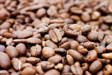 Close up macro shot of coffee bean