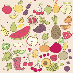 set of doodle fruits