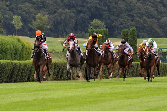 Horse Race Düsseldorf