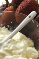 Yogurt