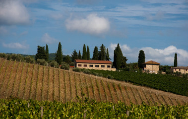 Naklejka premium Chianti, Tuscany
