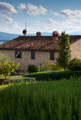 Villa in Tuscany with rosemary field.