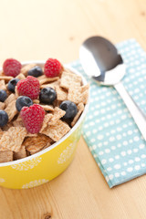 cinnamon cereals with fruits