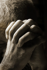 Fototapeta premium Man Praying