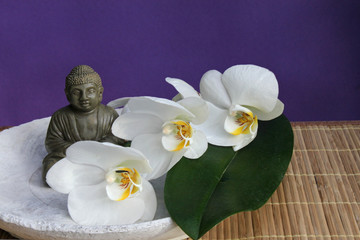 Buddha mit Orchideen