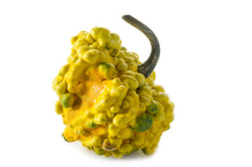 strange pumpkin- zucca strana
