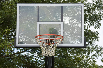 Basketball Net and Board