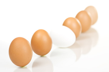 eggs row