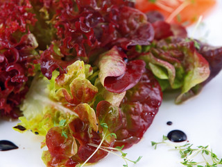red and green lettuce salad with vinaigrette dressing