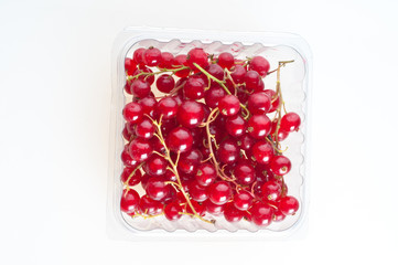 Beautiful raspberries