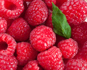 Beautiful raspberries
