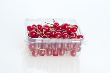 Beautiful raspberries